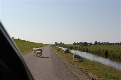 Foto's Friesland