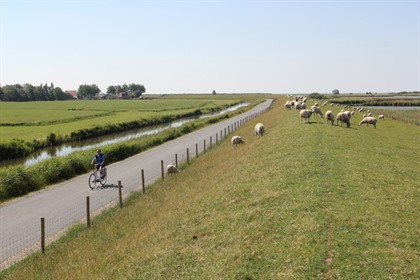 Foto's Friesland
