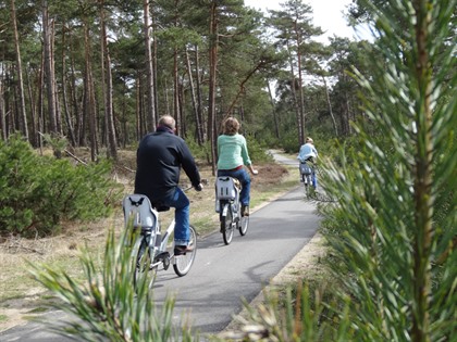 Foto's Gelderland