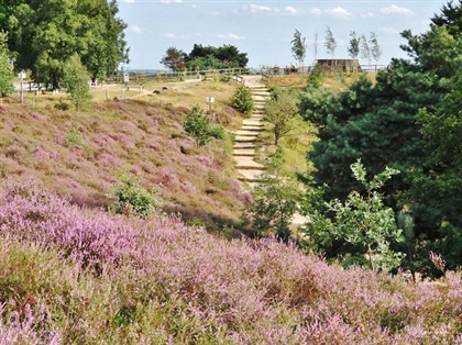 Foto's Gelderland