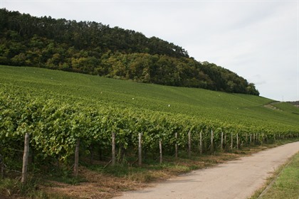 Foto's Groothertogdom Luxemburg