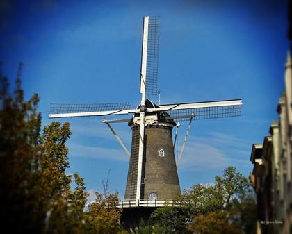 Foto's Leiden