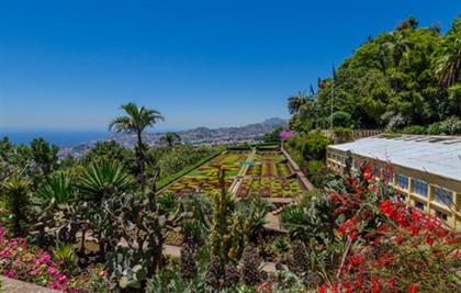 Foto's Madeira