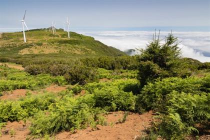 Foto's Madeira