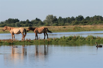 Foto's Picardië