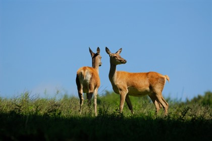 Foto's Sauerland