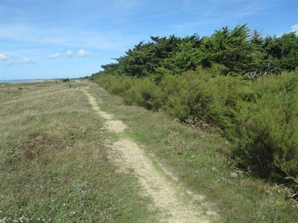 Foto's Vendée