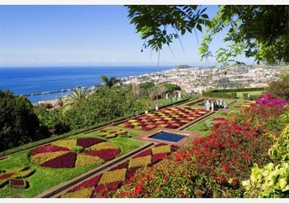 Citytrip Funchal: de kleurrijke hoofdstad van Madeira