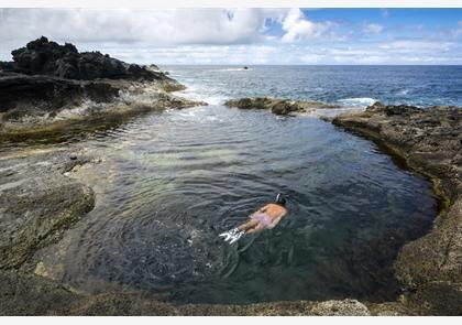 Furnas bezoeken? Warmwaterbronnen op de Azoren