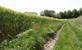 Gaasbeek: wandelen in domein Groenenberg en kasteelpark