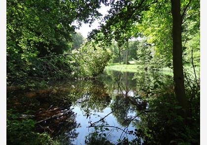 Gaasbeek: wandelen in domein Groenenberg en kasteelpark