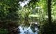 Gaasbeek: wandelen in domein Groenenberg en kasteelpark