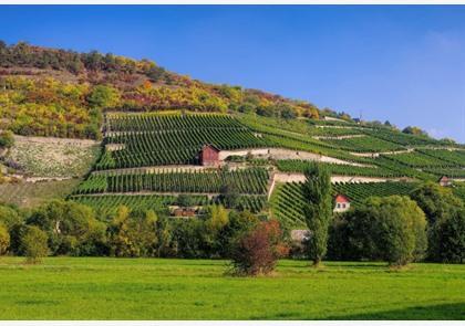 Sachsen-Anhalt: gastronomie en wijn