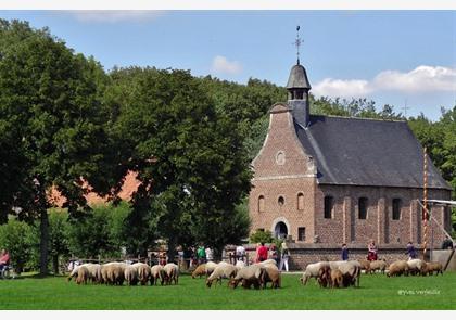 Genk en Bokrijk, ontdek de belangrijkste bezienswaardigheden