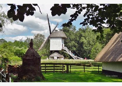 Genk en Bokrijk, ontdek de belangrijkste bezienswaardigheden