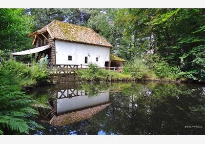 Genk en Bokrijk, ontdek de belangrijkste bezienswaardigheden