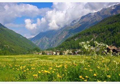 Gran Paradiso: één van de troeven in Aostavallei