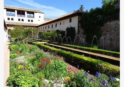Granada: het Alhambra en meer historische bezienswaardigheden