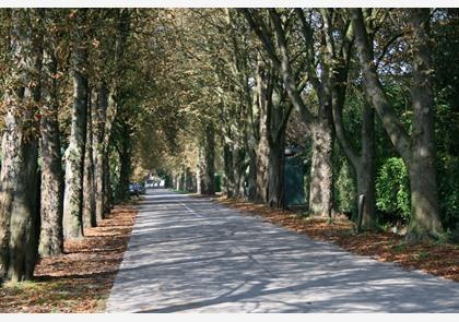 Leiestreek: verkenning op de fiets