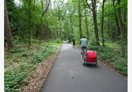 Limburgse Kempen: verkennen op de fiets