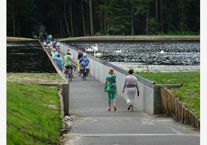 Limburgse Kempen: verkennen op de fiets