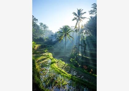 Gratis reisgids Bali-Lombok