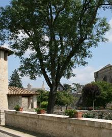 Download nu onze gratis reisgids 'Gironde en Zuidwest-Frankrijk'