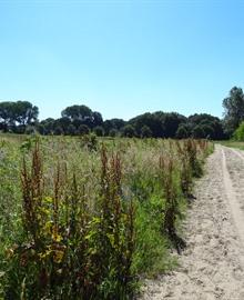 Waasland: Gratis reisgids downloaden