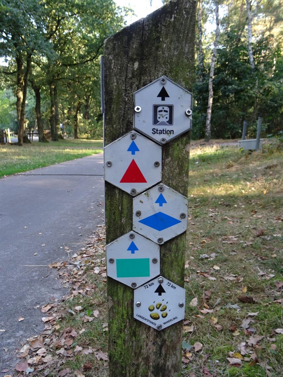 Download wandelroutes verken het Maasland