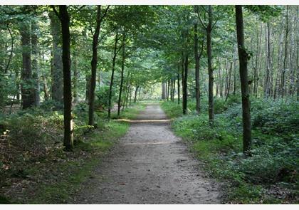 Op stap in het Brugse Ommeland