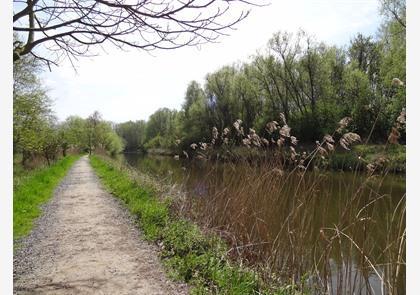 Leiestreek: wandelen langs de Leie is puur genieten in de natuur