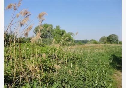 Leiestreek: wandelen langs de Leie is puur genieten in de natuur