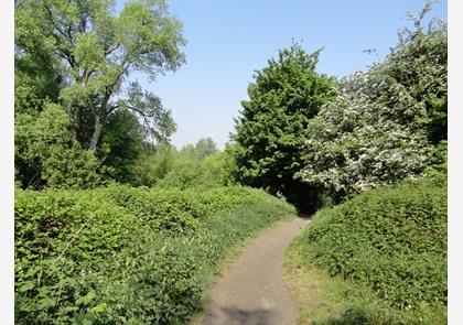 Leiestreek: wandelen langs de Leie is puur genieten in de natuur