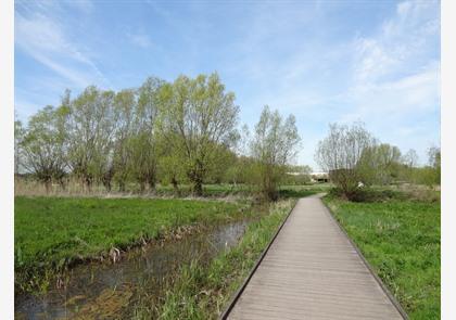 Leiestreek: wandelen langs de Leie is puur genieten in de natuur