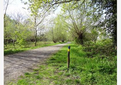 Leiestreek: wandelen langs de Leie is puur genieten in de natuur