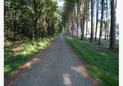 Limburgse Kempen: vele uren wandelplezier 