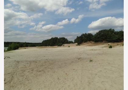 Limburgse Kempen: vele uren wandelplezier 