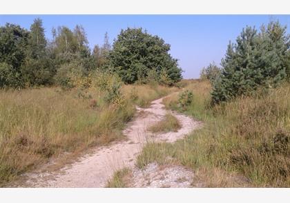 Limburgse Kempen: vele uren wandelplezier 