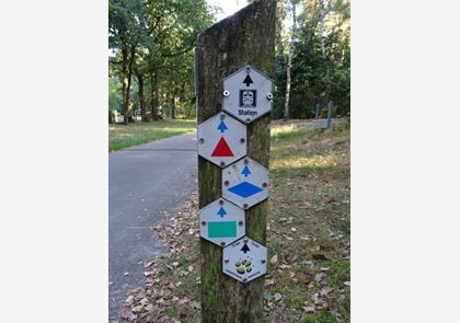 Maasland: wandelend genieten van de natuur bij de Maas, park Hoge Kempen en enkele Maasdorpjes