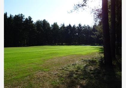 Maasland: wandelend genieten van de natuur bij de Maas, park Hoge Kempen en enkele Maasdorpjes