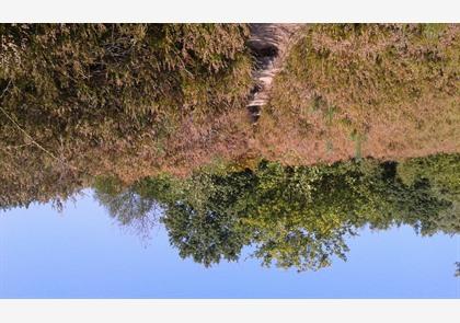 Maasland: wandelend genieten van de natuur bij de Maas, park Hoge Kempen en enkele Maasdorpjes