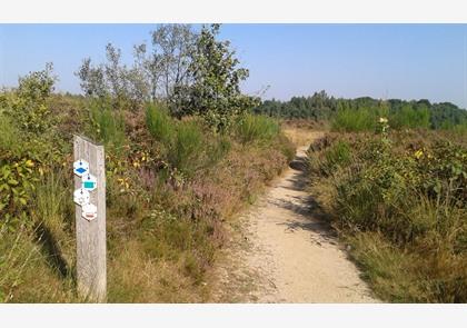 Maasland: wandelend genieten van de natuur bij de Maas, park Hoge Kempen en enkele Maasdorpjes