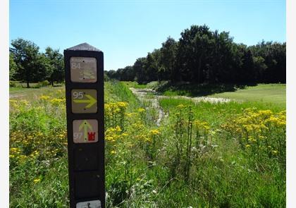 Waasland: wandelen in de natuur en langs de Moervaart