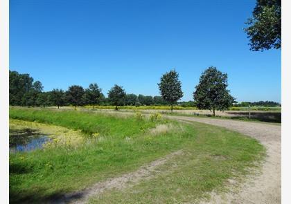 Waasland: wandelen in de natuur en langs de Moervaart