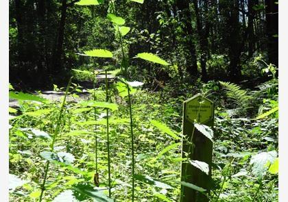 Waasland: wandelen in de natuur en langs de Moervaart