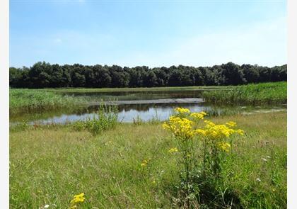 Waasland: wandelen in de natuur en langs de Moervaart