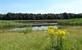 Waasland: wandelen in de natuur en langs de Moervaart