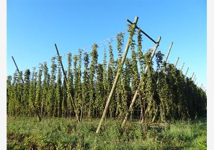 Wandeling in de Westhoek: gratis downloaden