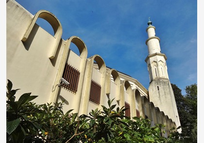 Brussel: het verhaal achter Grote Moskee 