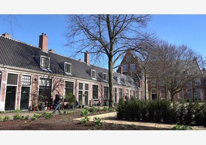 Haarlemse Hofjes: huisjes met geschiedenis rond een binnentuin